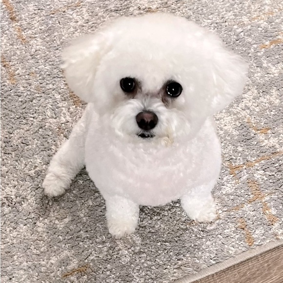 Meet your Posher, Lisa - Picture 2 of 3